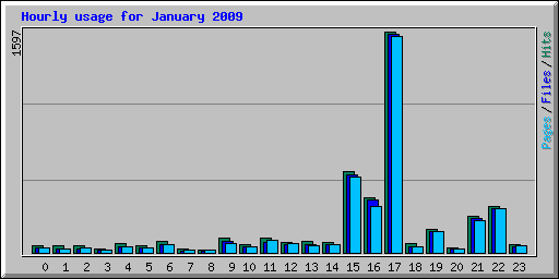Hourly usage for January 2009